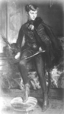 Comte Karolyi