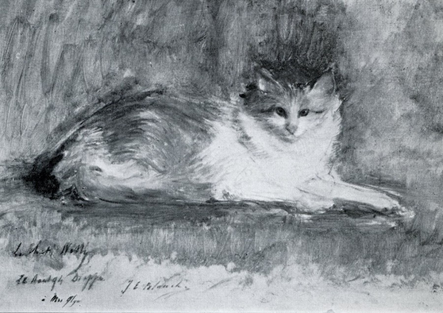 Le chat Nelly ou Portrait d'Elinor Glyn en chat persan