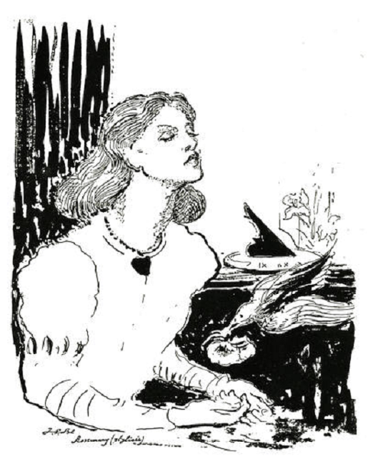 Illustration pour Aymeris : Rosemary (stylisée)