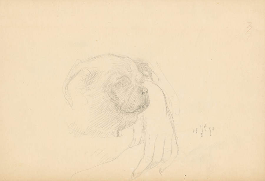 La petite chienne Trixy et la main de sa maîtresse, Madame Blanche mère